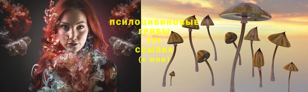 амф Арсеньев