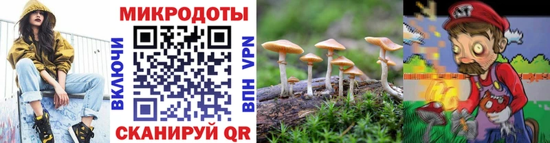 Псилоцибиновые грибы Psilocybe  нарко площадка как зайти  Полярный  наркота 